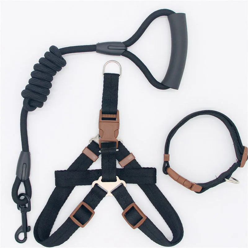 Nylon dog leash in black with clip, suitable for dogs up to 60 kg, multiple colour options.