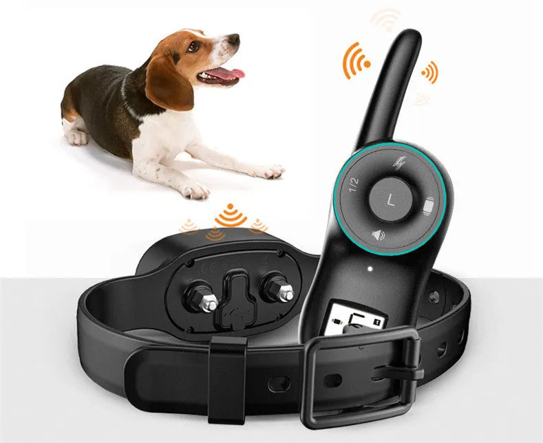 Black remote dog training collar with waterproof receiver and handheld transmitter