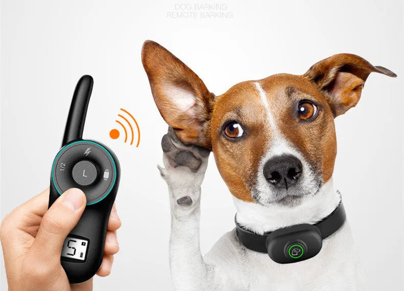 Black remote dog training collar with waterproof receiver and handheld transmitter