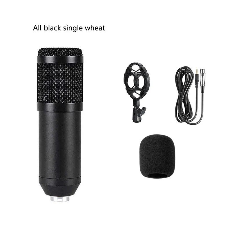 BM800 condenser microphone and V8 sound card set with desk stand and pop filter on a black background.