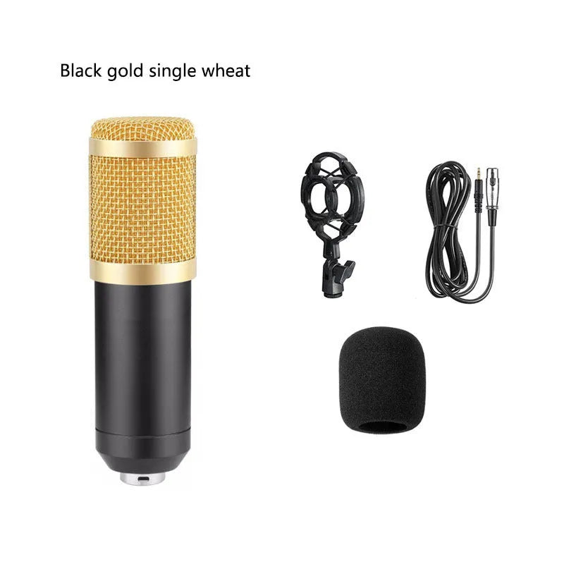 BM800 condenser microphone and V8 sound card set with desk stand and pop filter on a black background.