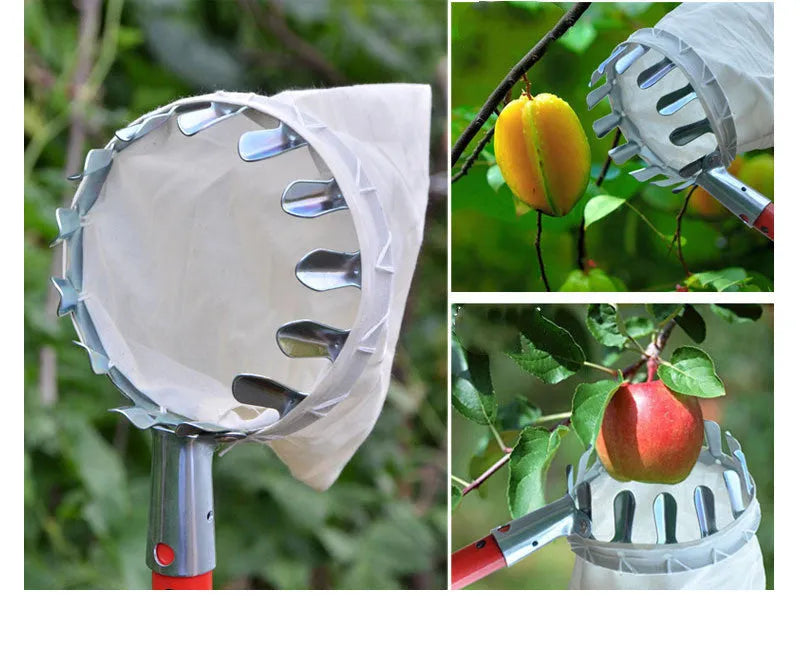 Portable steel frame fruit catcher with a large cloth collection bag for harvesting garden fruit.