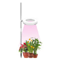 Adjustable gooseneck plant growth lamp with full spectrum light on home office desk