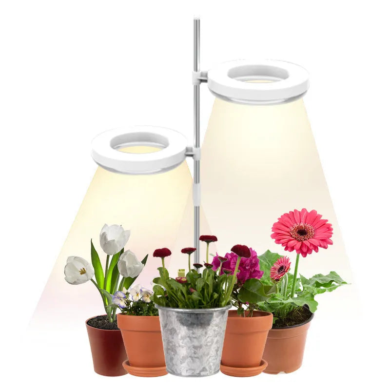 Adjustable gooseneck plant growth lamp with full spectrum light on home office desk