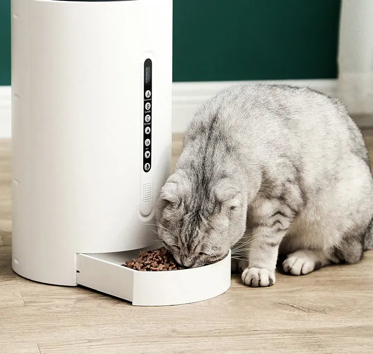 White smart pet feeder with 4.6L ABS plastic body and timed dispensing for dogs and cats