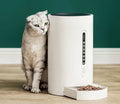 White smart pet feeder with 4.6L ABS plastic body and timed dispensing for dogs and cats