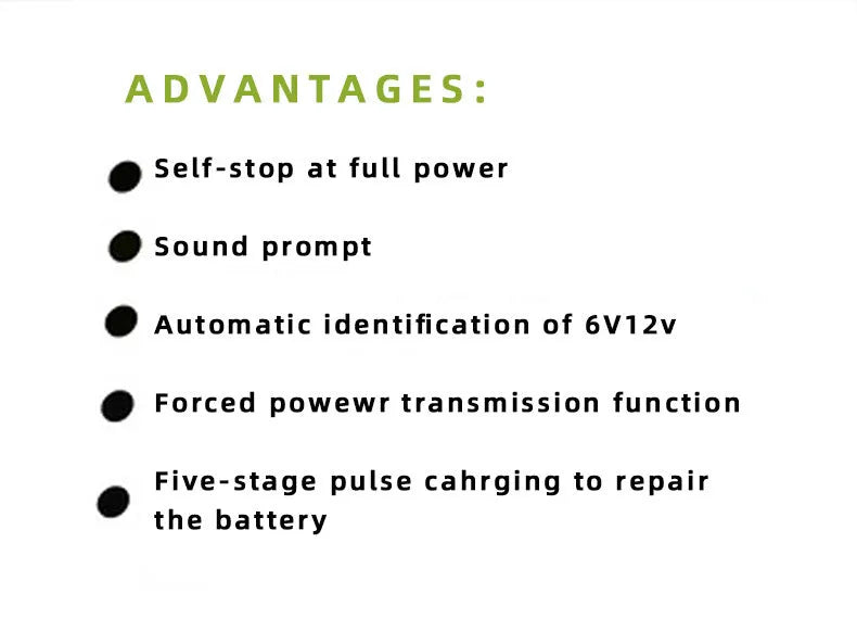 BT-168 automobile battery charger 12V24V for lead acid batteries with American standard plug