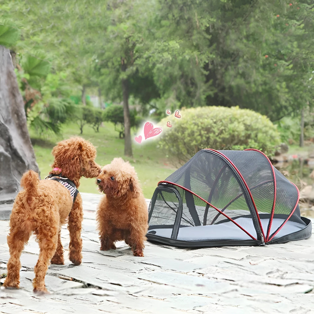 Folding cat tent with half mesh canopy in black or blue options