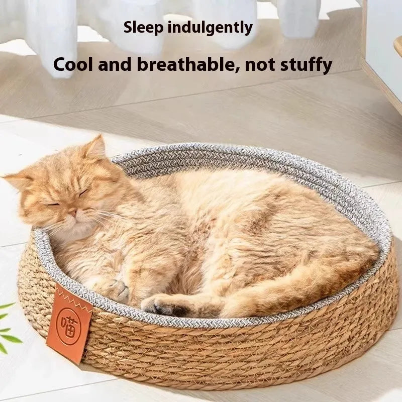Natural rattan cat bed showing woven construction and open design for ventilation