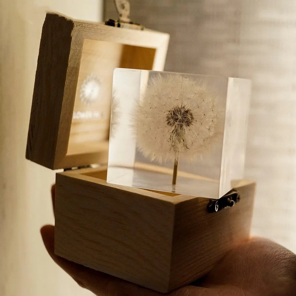 Dandelion specimen cube 5cm resin tabletop decoration with wooden box and USB base