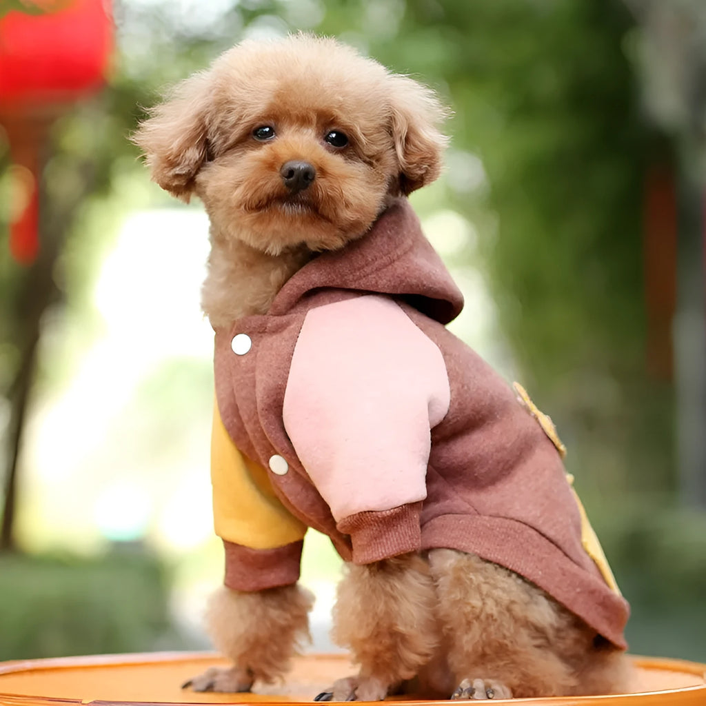 Cotton pet sweatshirt for dogs and cats available in brown, green, and pink colours