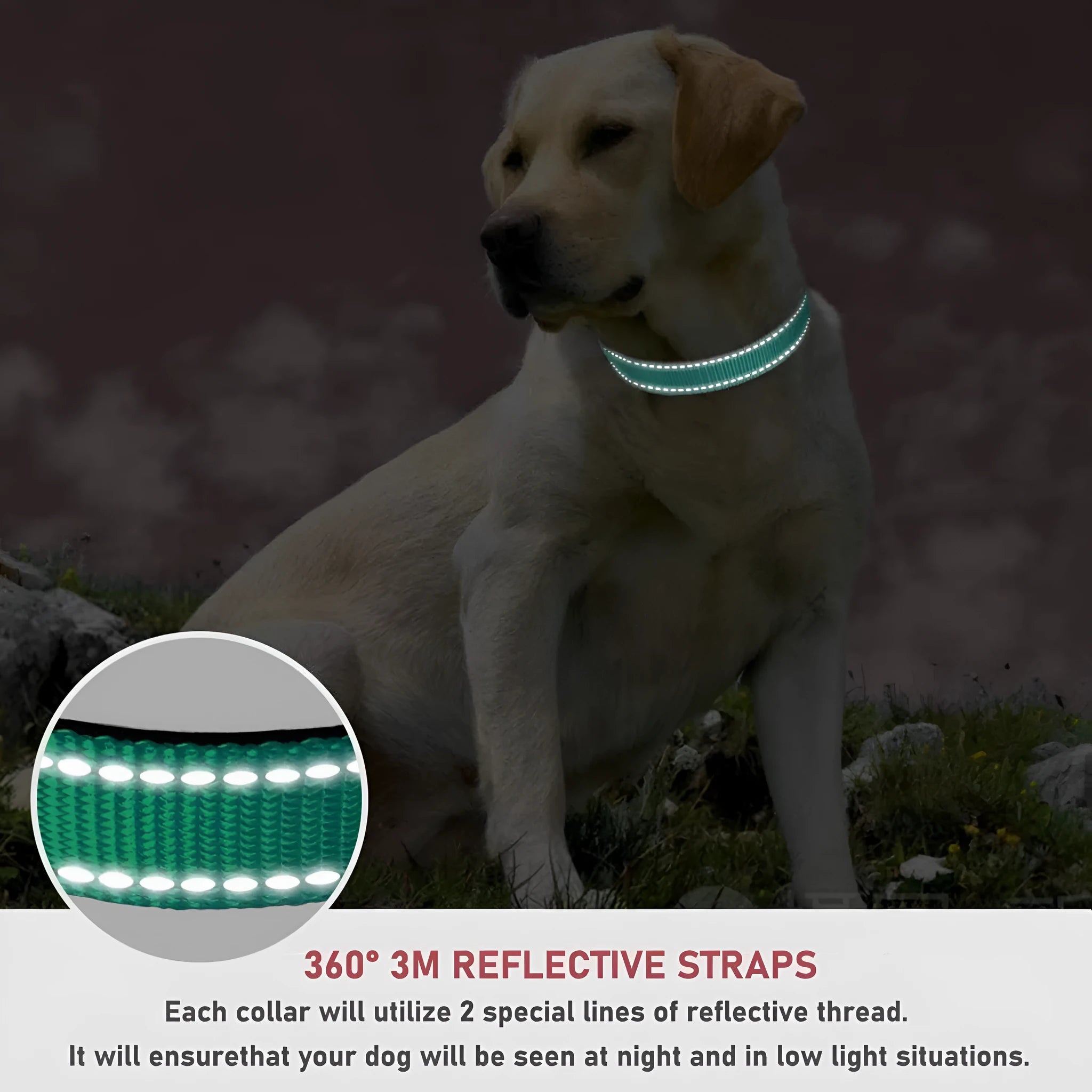 Adjustable nylon dog chest strap collar in black, blue, red, green, orange, purple, and lake blue
