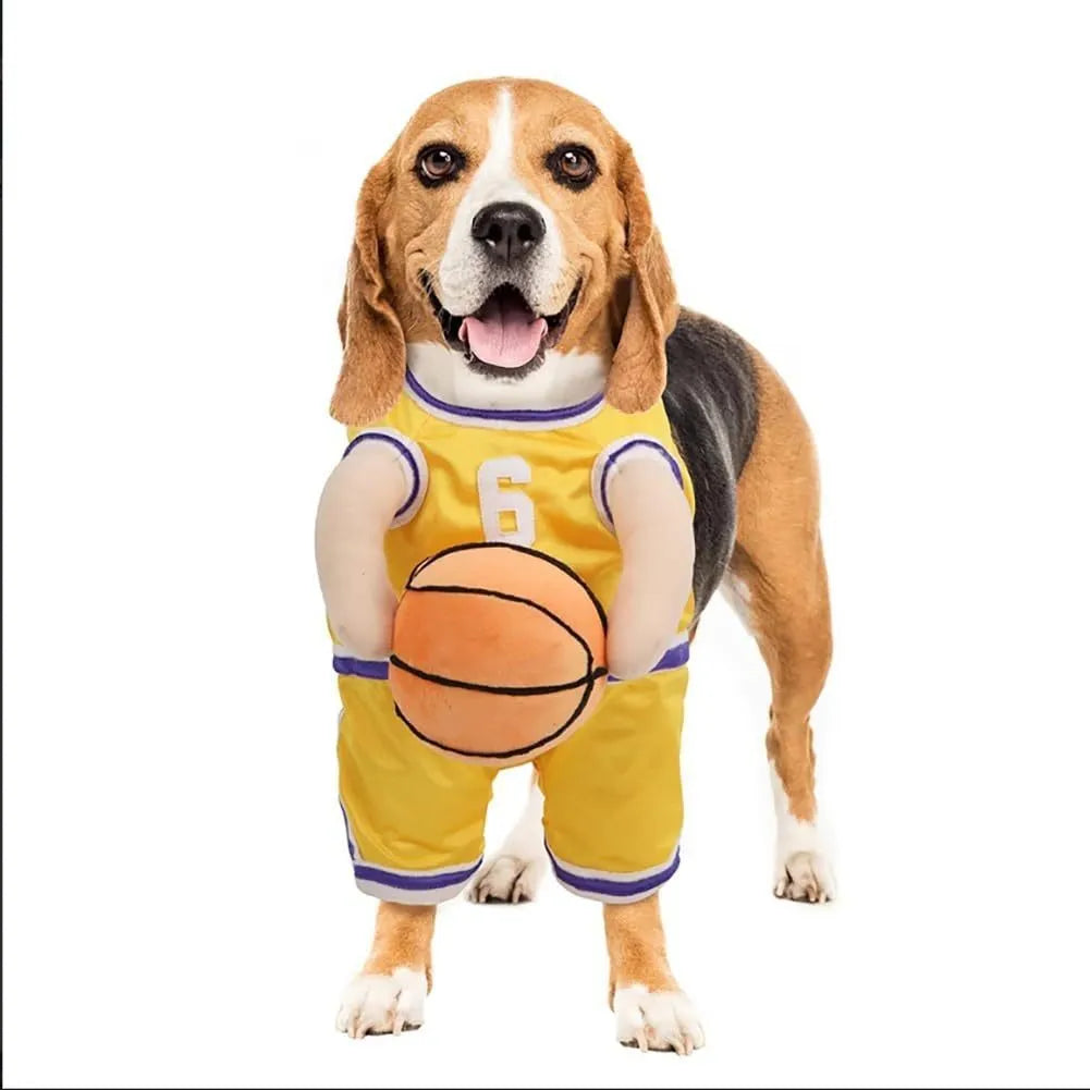 Creative dog basketball costume with built-in ball in red on a small dog