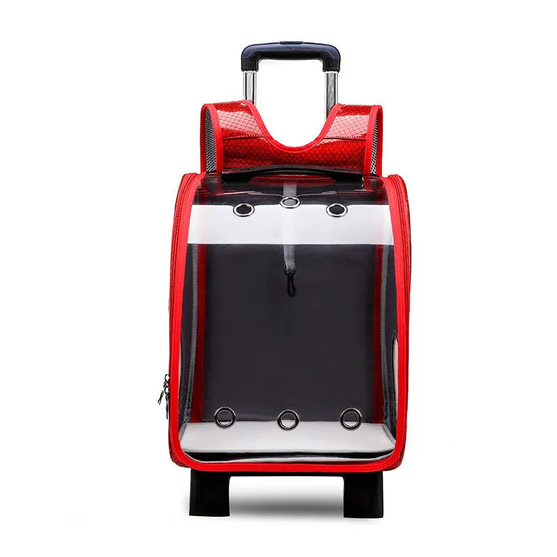 Transparent folding pet trolley with Oxford cloth backpack in blue colour for small dog transport
