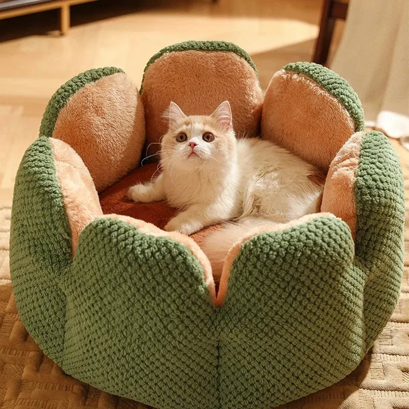 Green cactus petal shaped cat bed cave design with soft plush surface and non-slip bottom on hardwood floor
