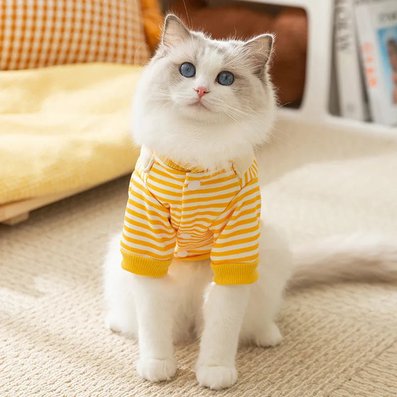 Fashion Autumn Thin Dog Pattern Sweater in yellow and white, available in sizes XS to XXL
