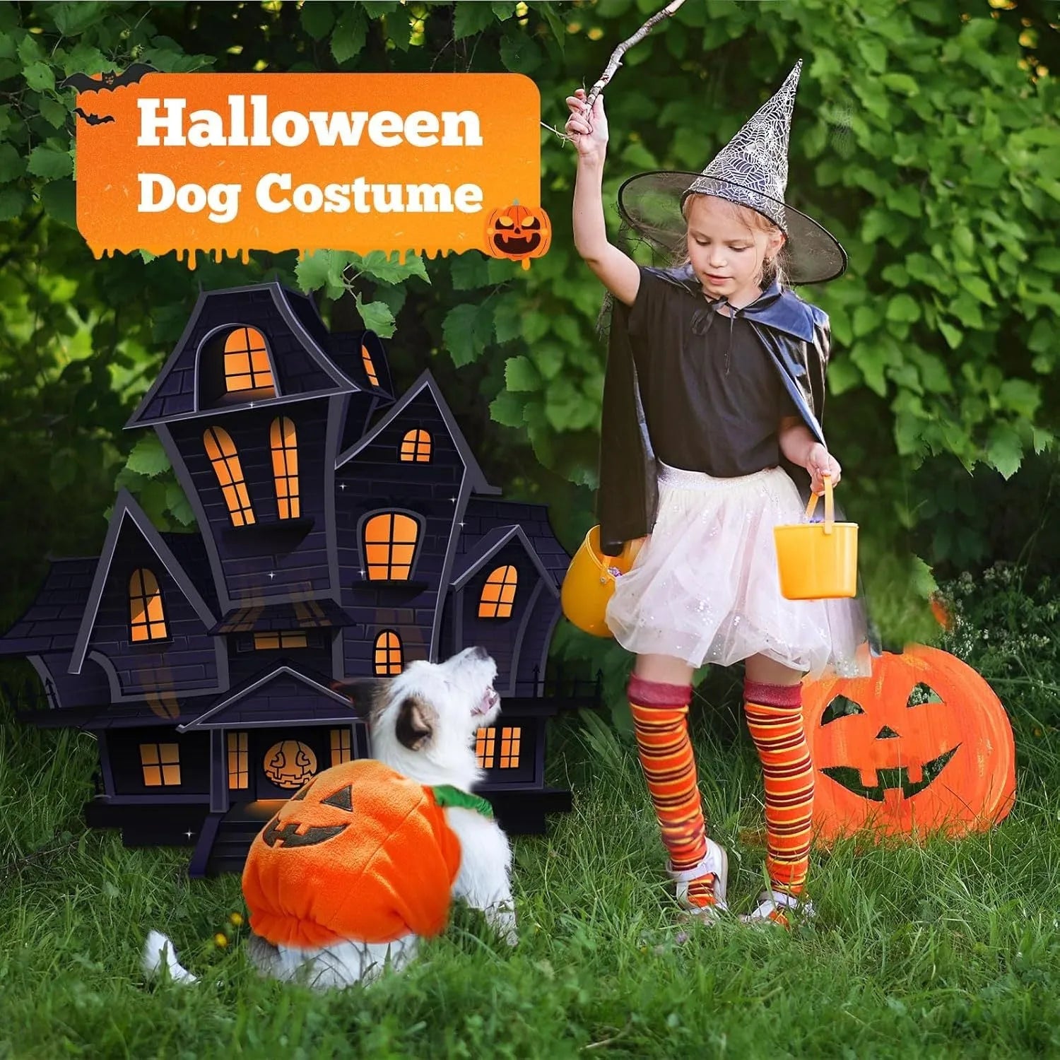 Thick plush pumpkin dog Halloween costume on a small dog with orange pumpkin design