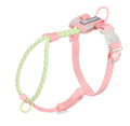 Solid colour PVC dog leash hand holding rope in crimson purple yellow or taoyao green for outdoor use