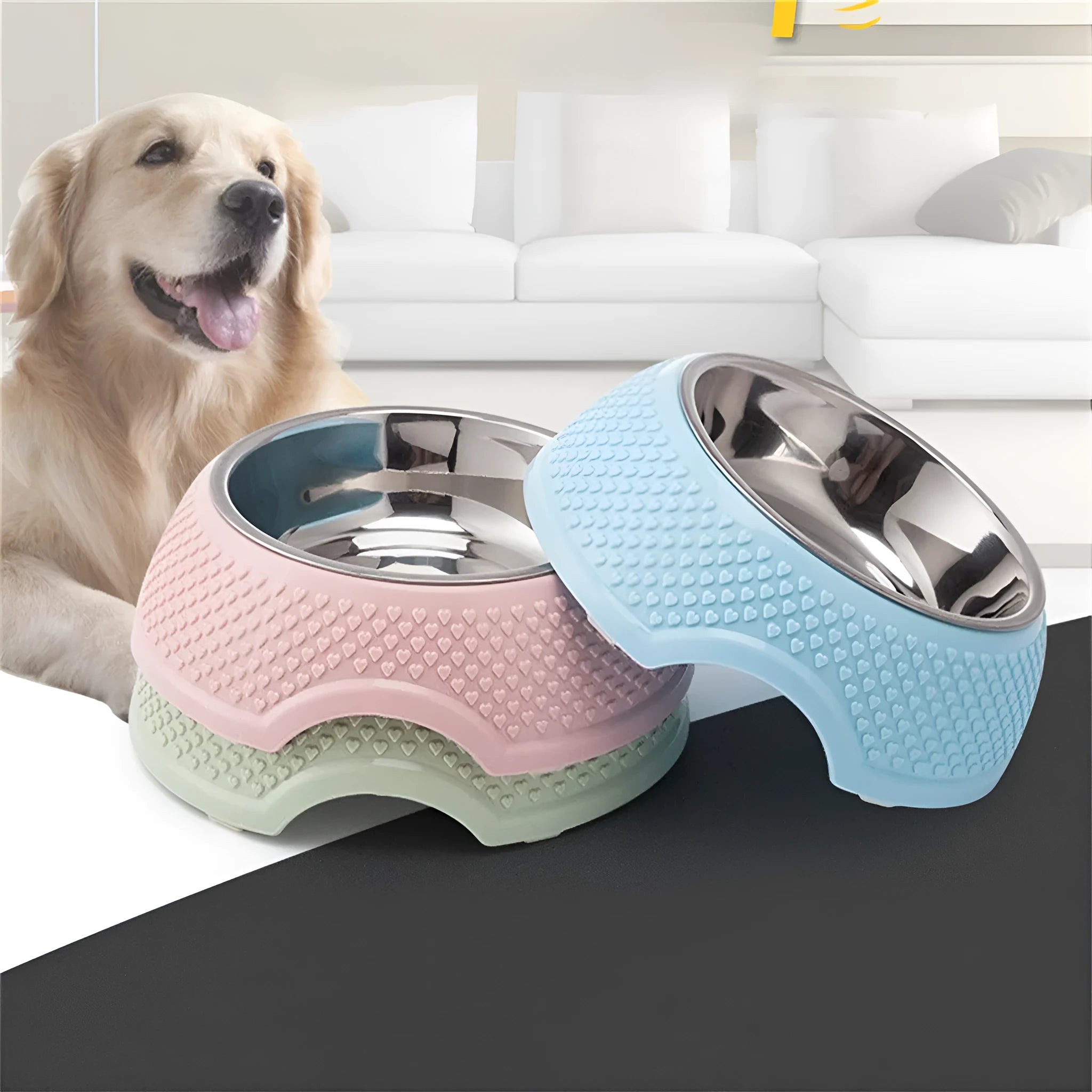 Stainless steel pet bowl with non-slip base in blue, green, or pink colour options