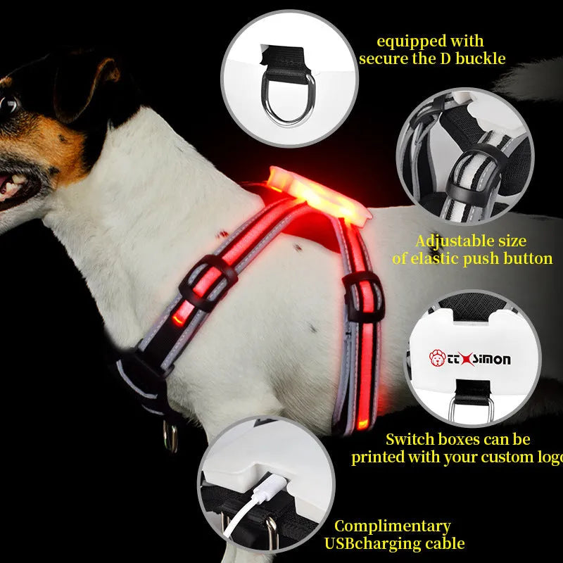 Luminous nylon dog lead with multi-colour LED lights and a coiled charging cable.