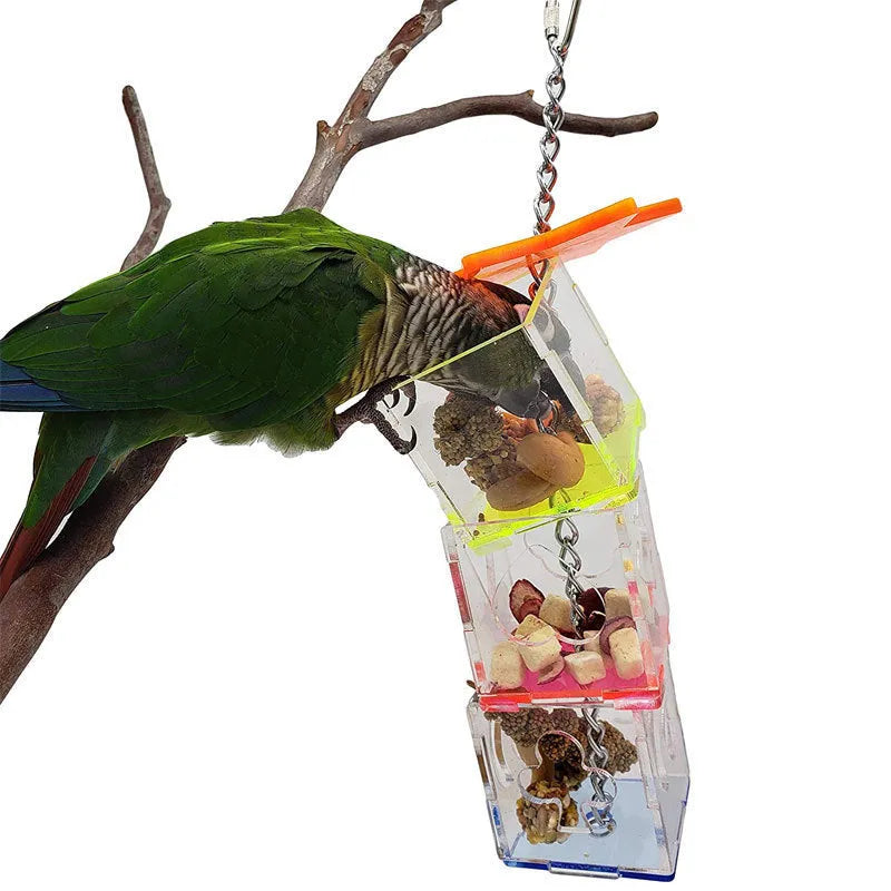 Clear acrylic parrot foraging toy measuring 5 cm by 5 cm by 32 cm for bird enrichment