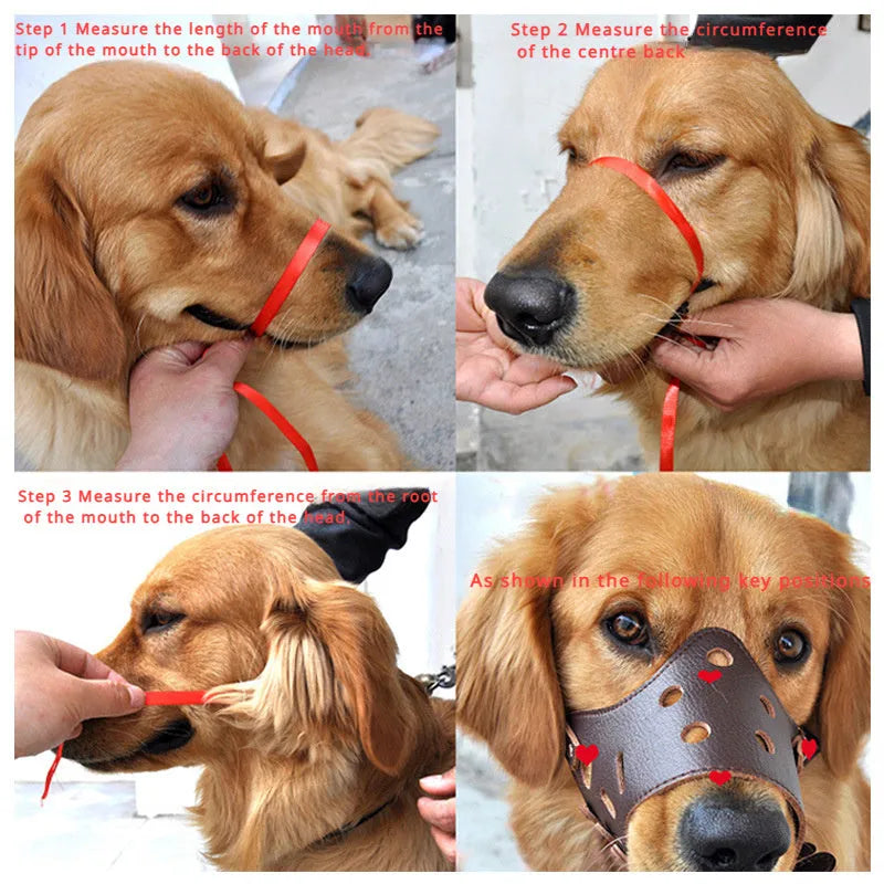 Black dog muzzle silencer for anti-barking and bite prevention, sized for medium dogs with adjustable straps