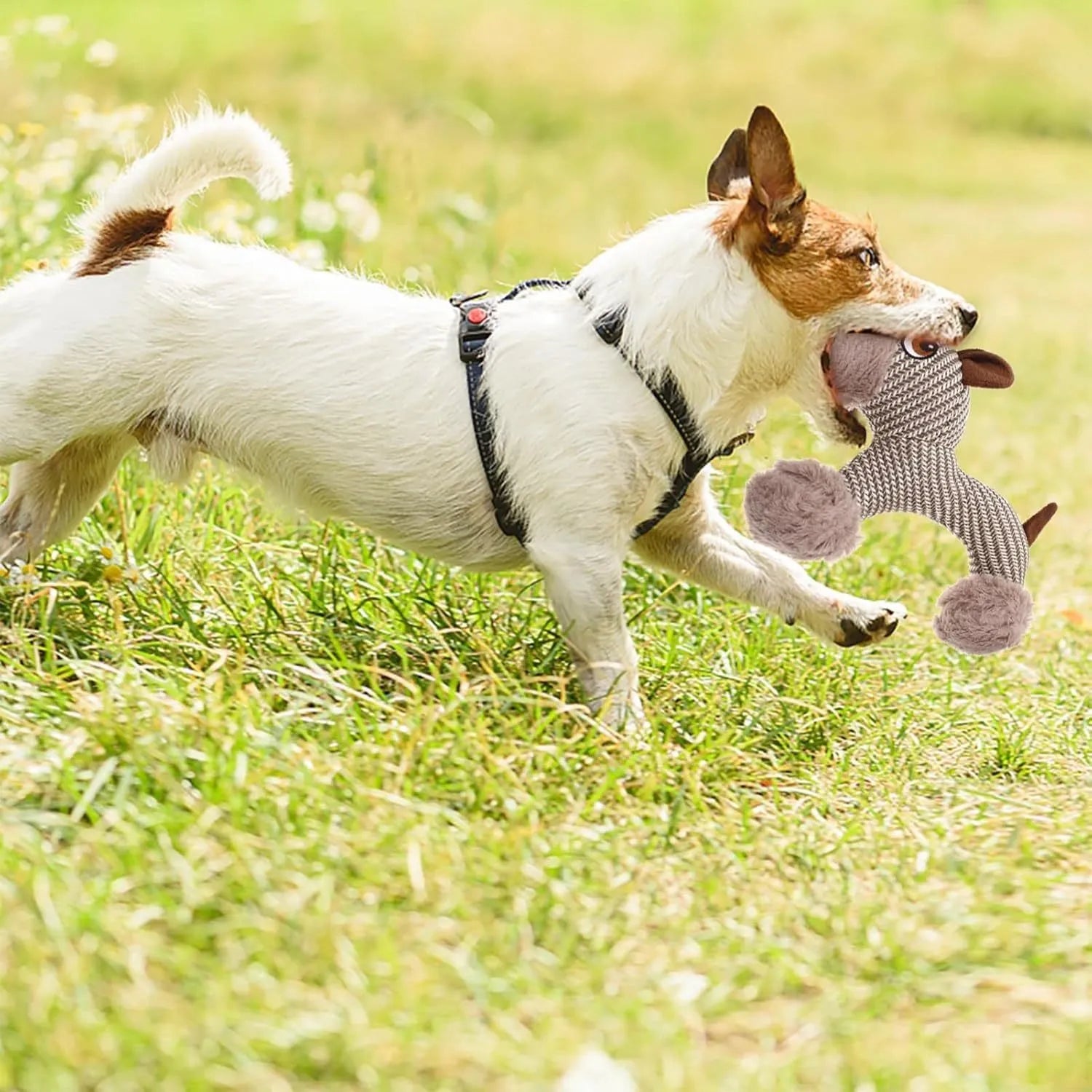 Large dog squeaky plush toy with squeaker, suitable for medium and large dogs, in Monkey design