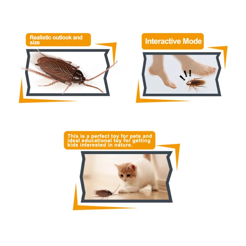Vibration brush walking trick simulation electric toy pet supplies, plastic, 11x5cm, with vibrating cockroach design