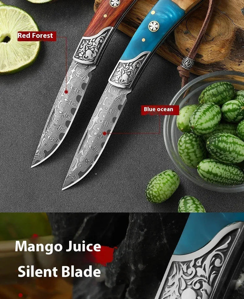 VG10 folding mini outdoor knife with stainless steel blade, dovetail styling, red forest colour