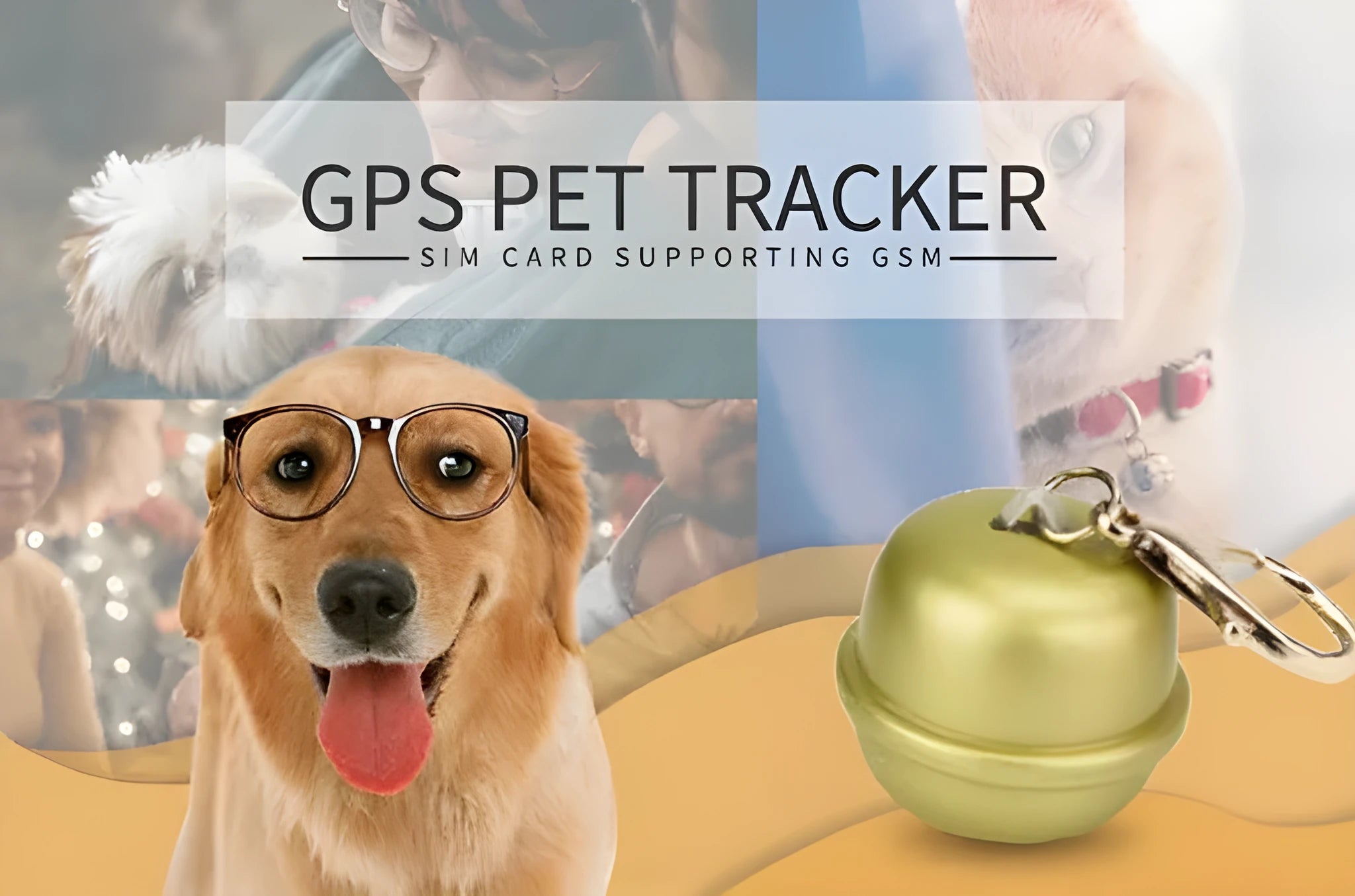 GPS tracking device attached to an adjustable nylon dog collar in black, shown with a USB charging cable.