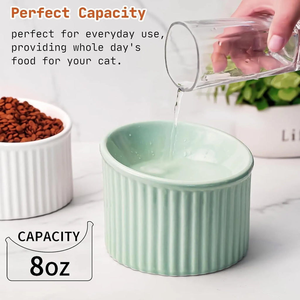 Ceramic elevated cat bowl in green colour with tilted whisker-friendly design for anti-vomit feeding height