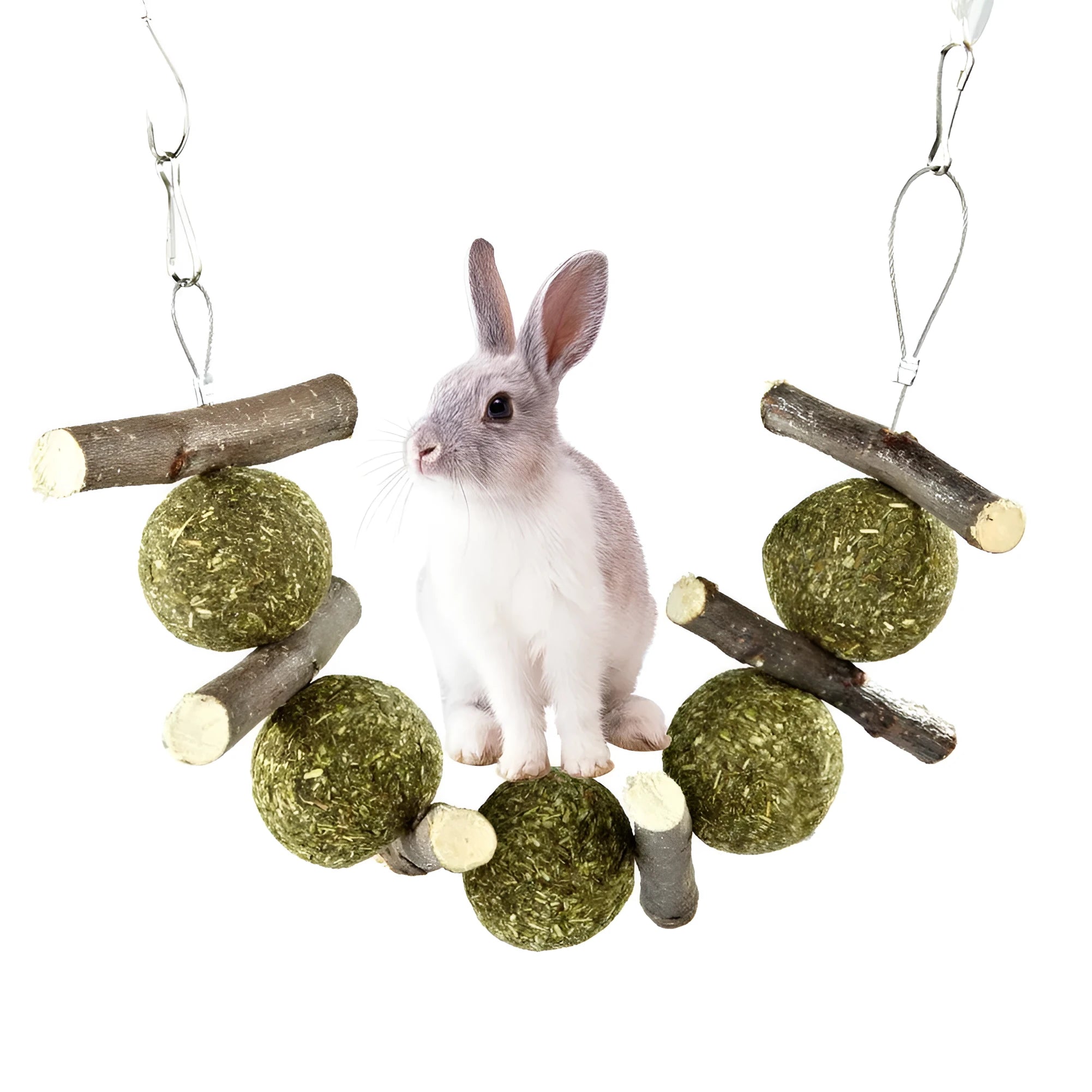 Natural pet molar supplies set with five grass balls and six apple branches hanging on a cage for small animals like rabbits and guinea pigs