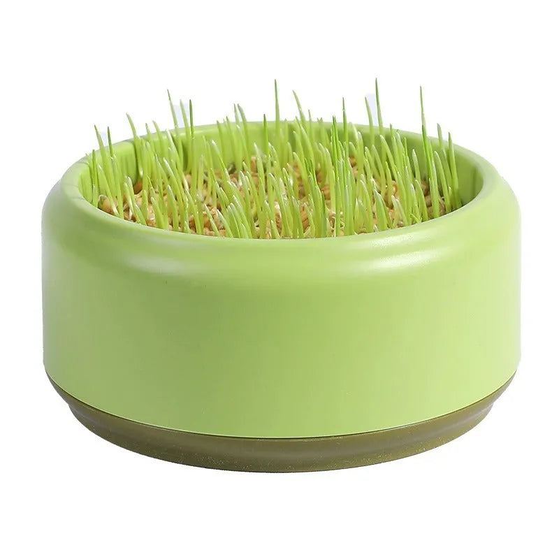 Hydroponic cat grass kit with soilless growing cups and seed packs in three colour options