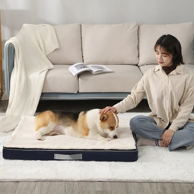 Removable washable sponge dog mat in brown, shown in a 100x75x10cm size.
