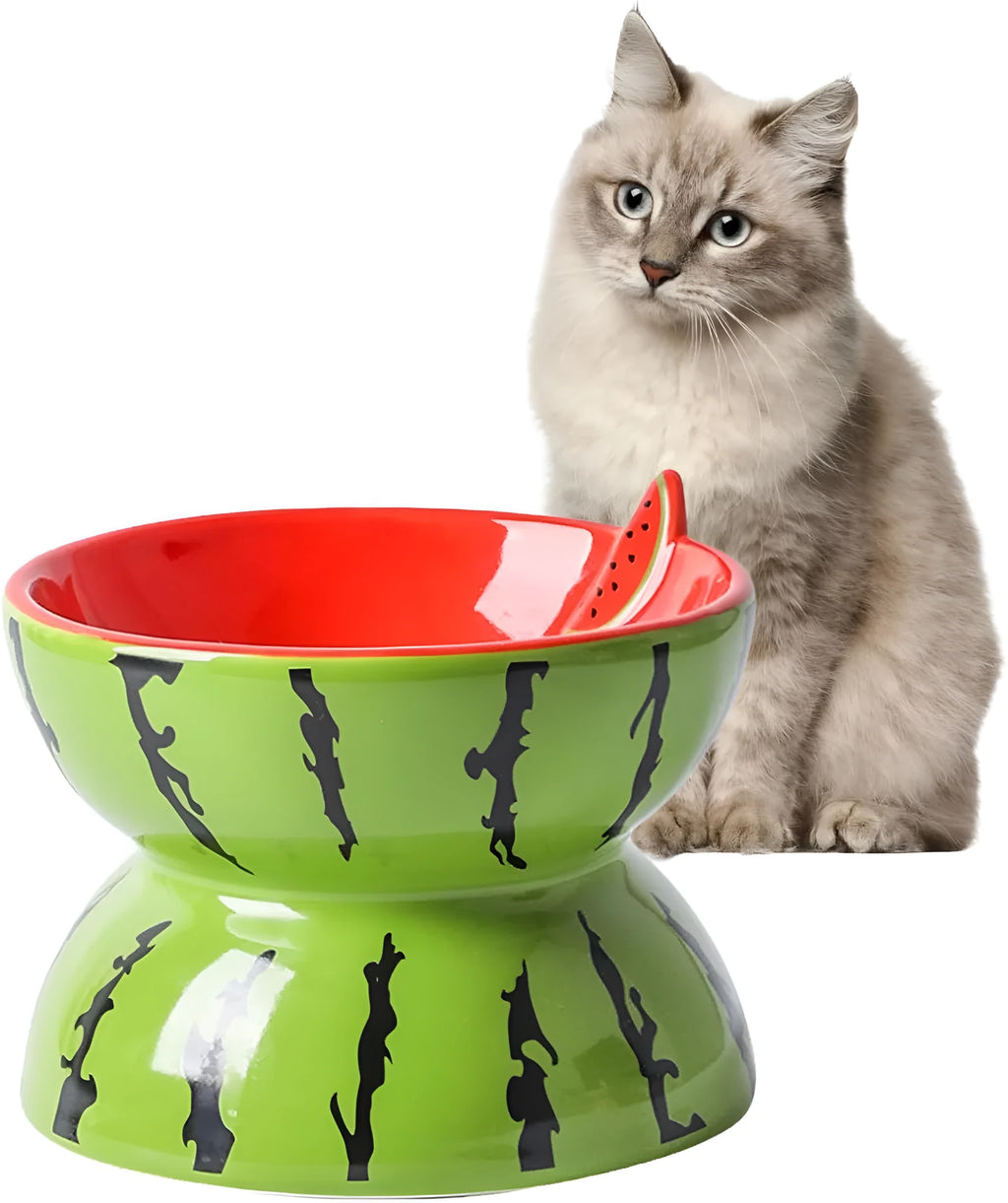 Ceramic elevated cat bowl with tilted design and decorative pattern