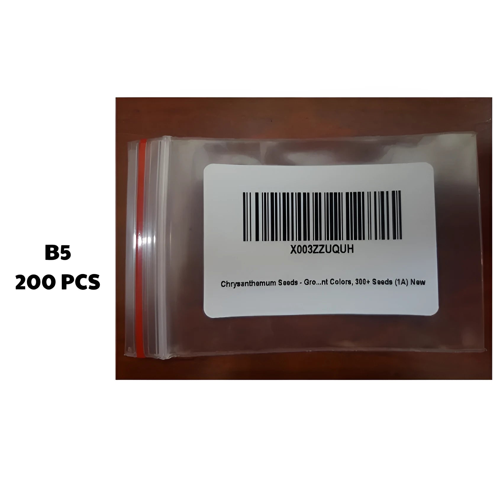 Packet containing 200 ground chrysanthemum seeds for lawn and landscape planting