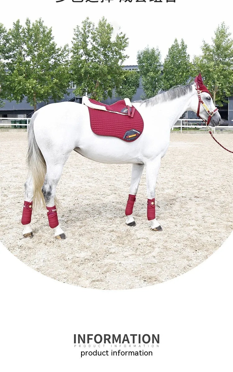 Riding saddle pad with shock absorption for waist protection during equestrian and cycling activities