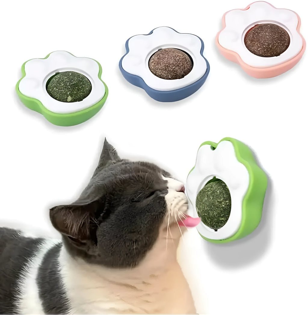 Plush catnip mouse toy for dental cleaning with blue, green and pink colour options showing 45mm size