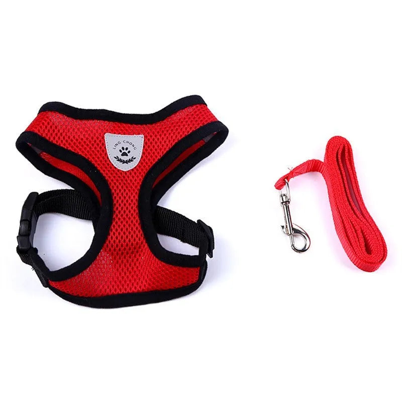 Pet car seat belt leash in black mesh with 1.2 metre rope and metal clip on white background