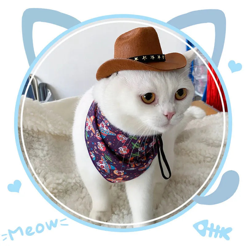 Cat wearing a black cowboy hat with star design, made from soft non-woven fabric, adjustable strap, side view