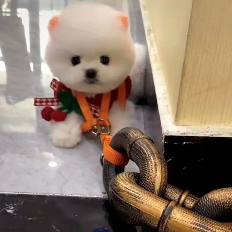 Bronze coloured plastic dog leash simulation prop for video spoofs on a plain background.