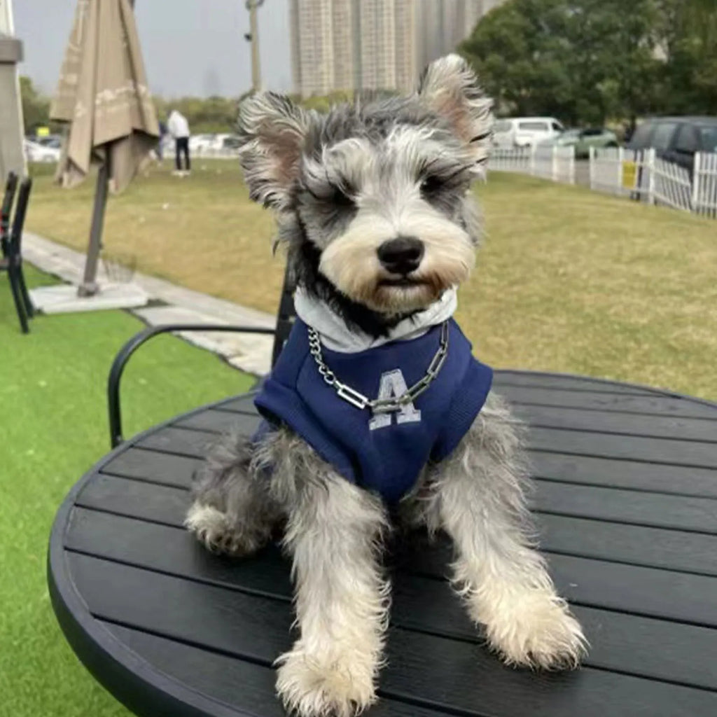 Blue and grey-white slim-fit pet hoodie with reflective letters for dogs and cats