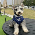 Blue and grey-white slim-fit pet hoodie with reflective letters for dogs and cats