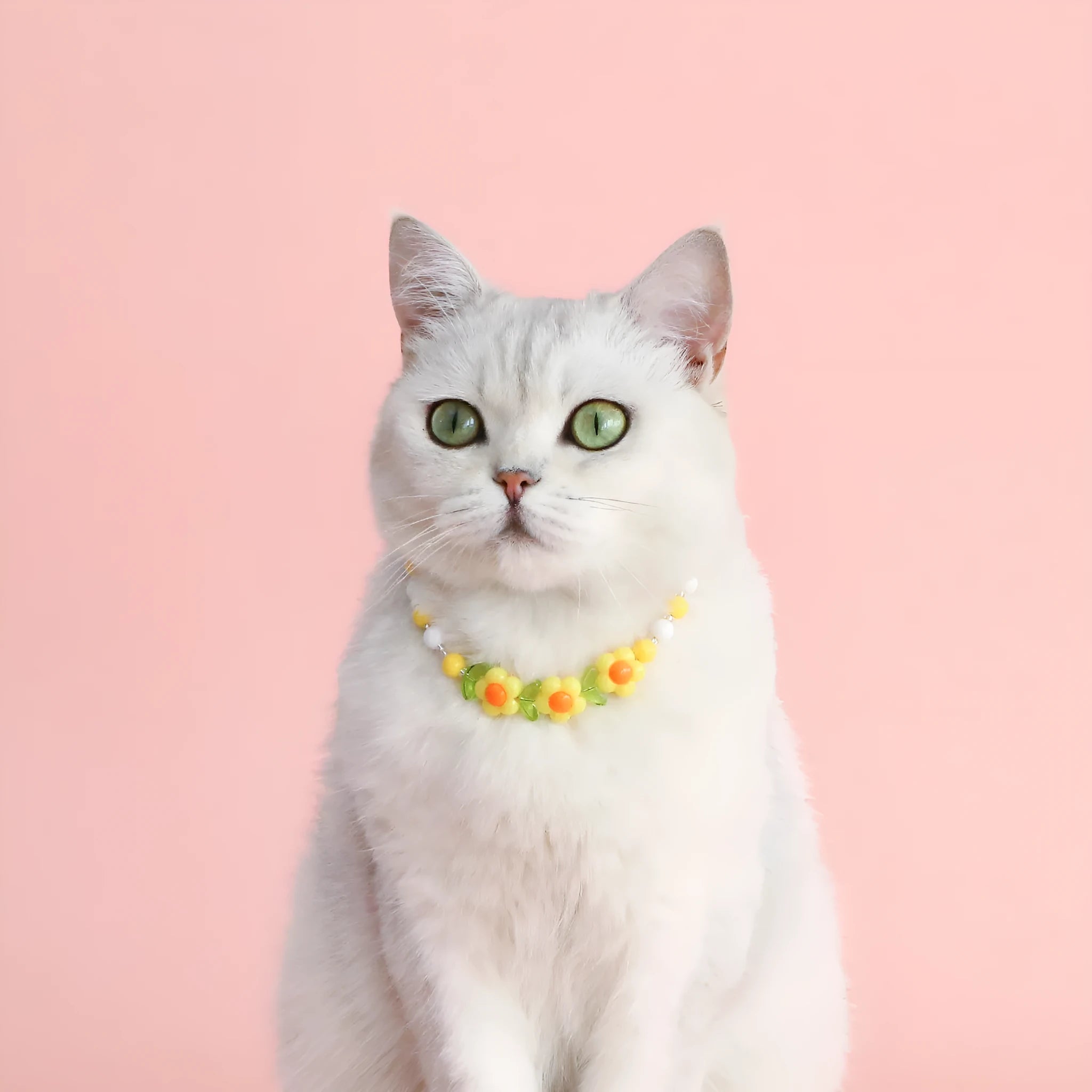 Adjustable plastic cat collar necklace with colourful pearl beads in small flower, rainbow, or peach patterns.