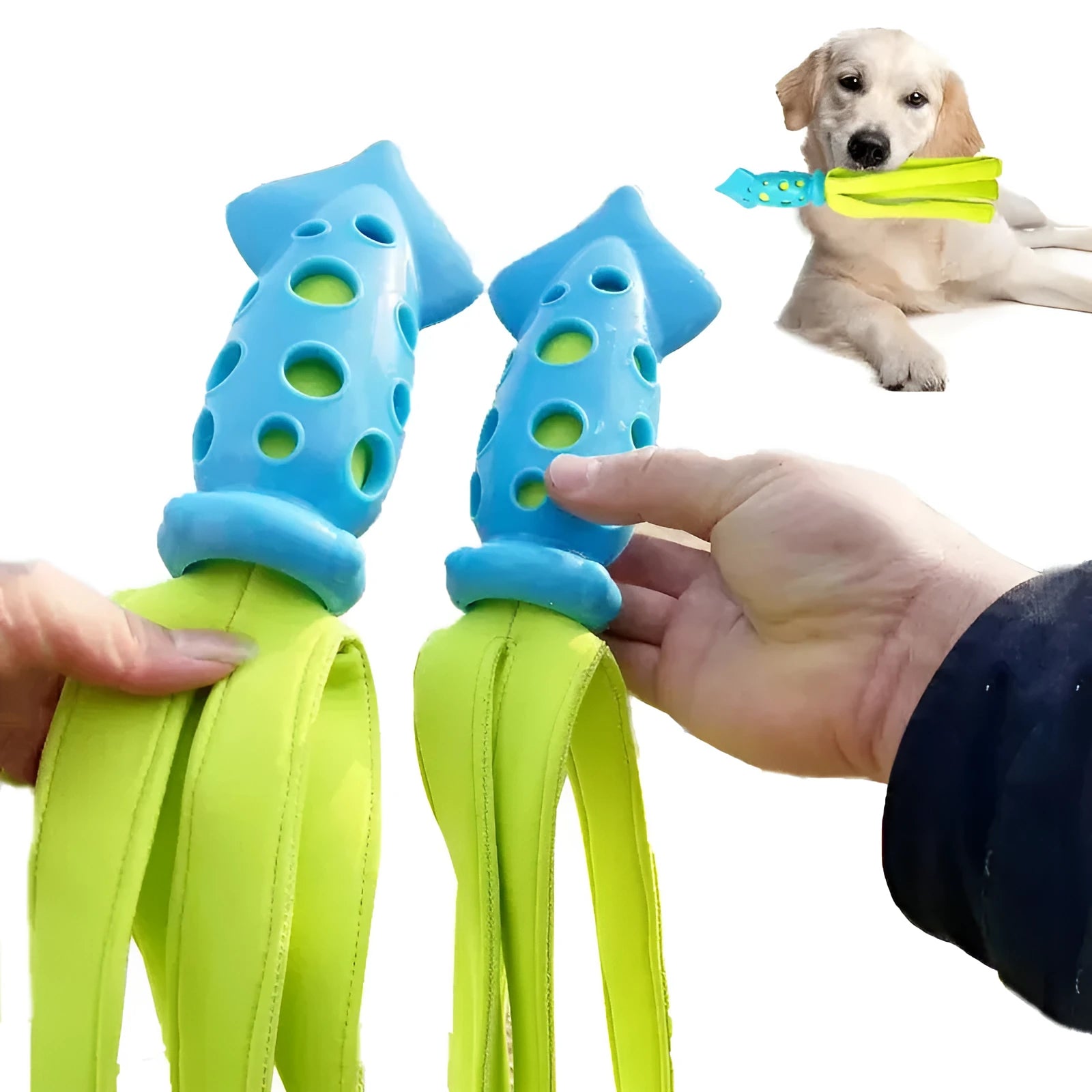 Blue dog chew toy shaped like a cuttlefish with squeaker for teeth cleaning and interactive play