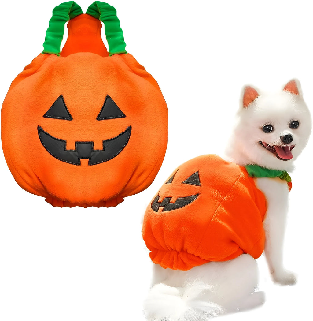 Thick plush pumpkin dog Halloween costume on a small dog with orange pumpkin design