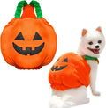 Thick plush pumpkin dog Halloween costume on a small dog with orange pumpkin design