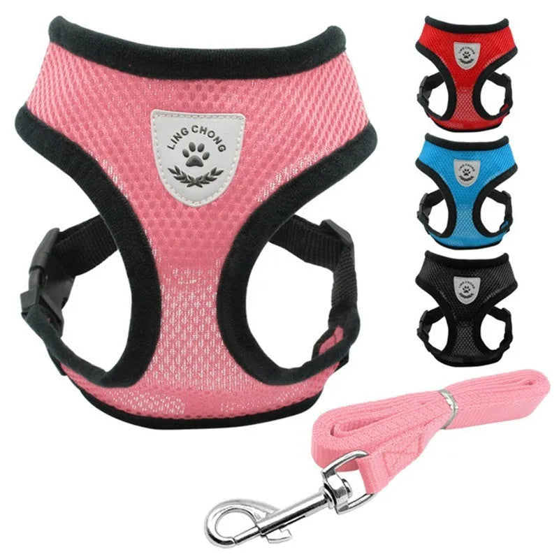 Pet car seat belt leash in black mesh with 1.2 metre rope and metal clip on white background
