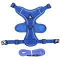 Soft mesh cat harness and leash set in blue with reflective chest patch on a cat outdoors