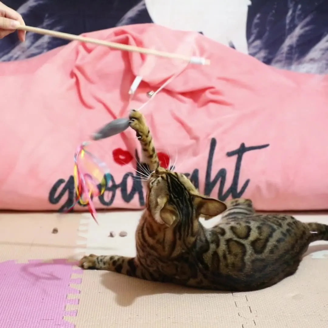 Colourful cat wand toy with wooden handle, elastic string, and a catnip fish with ribbons and a bell.